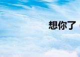 想你了（确定会想你）