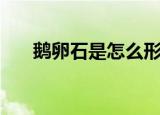 鹅卵石是怎么形成的（什么是鹅卵石）