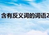 含有反义词的词语20个（含有反义词的词语）