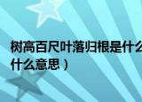 树高百尺叶落归根是什么意思作业帮（树高百尺 叶落归根是什么意思）