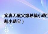 宠妻无度火爆总裁小萌宝免费阅读无弹窗（宠妻无度火爆总裁小萌宝）