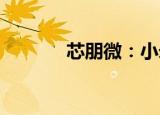 芯朋微：小米是公司终端客户