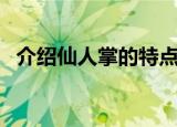 介绍仙人掌的特点（仙人掌的特点有哪些）