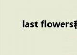 last flowers和弦（last flowers）