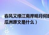 春风又绿江南岸明月何时照我还这句诗的意思是什么（泊船瓜洲原文是什么）