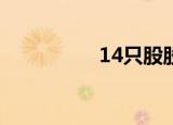14只股股价创历史新高