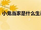小鬼当家是什么生肖,,,,,,,,,,,,九五分合今期来