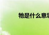 牠是什么意思（ta是什么意思）