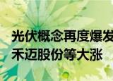 光伏概念再度爆发，钧达股份等逾10股涨停，禾迈股份等大涨