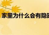 家里为什么会有隐翅虫（防范隐翅虫的方法）