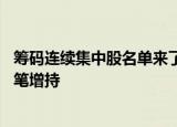筹码连续集中股名单来了，盛达资源等15股获杠杆资金大手笔增持