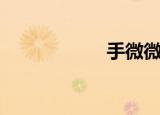 手微微颤抖（手微）