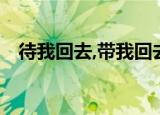 待我回去,带我回去,代我回去（带我回去）