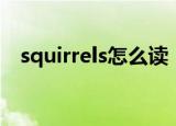 squirrels怎么读（英语squirrels怎么读）