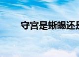 守宫是蜥蜴还是壁虎（守宫是什么）