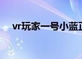 vr玩家一号小蓝正脸照片（vr玩家一号）