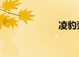 凌豹姿 憨夫恶妻