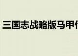 三国志战略版马甲什么意思（马甲什么意思）