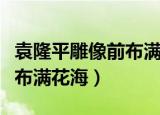 袁隆平雕像前布满花海是什么（袁隆平雕像前布满花海）