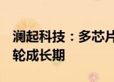 澜起科技：多芯片布局初见成效  已迈入新一轮成长期
