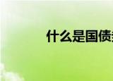 什么是国债券?（什么是国债）
