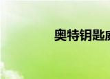 奥特钥匙威力（奥特钥匙）