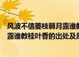 风波不信菱枝弱月露谁教桂叶香的意思（风波不信菱枝弱月露谁教桂叶香的出处及原文翻译）