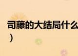 司藤的大结局什么意思（司藤大结局什么意思）