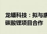 龙蟠科技：拟与唐山鑫丰锂业等就年产3万吨碳酸锂项目合作