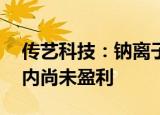 传艺科技：钠离子电池处产能建设阶段 短期内尚未盈利