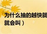 为什么抽的越快就会叫动漫（为什么抽的越快就会叫）