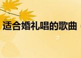 适合婚礼唱的歌曲（婚礼上适合唱什么歌曲）