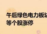 午后绿色电力板块走高 华光环能、华西能源等个股涨停