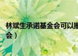林斌生承诺基金会可以撤销 吗（林生斌律师回应未筹建基金会）