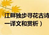 江畔独步寻花古诗其一（江畔独步寻花古诗其一译文和赏析）