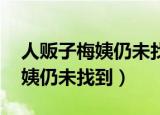 人贩子梅姨仍未找到 或本不存在（人贩子梅姨仍未找到）