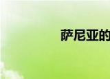 萨尼亚的老婆（萨尼亚）