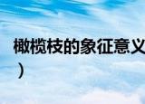 橄榄枝的象征意义（橄榄枝的象征意义是什么）