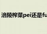涪陵榨菜pei还是fu（涪陵榨菜pei还是fu呢）
