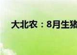 大北农：8月生猪销售收入合计8.37亿元