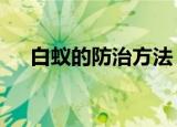 白蚁的防治方法（白蚁防治的5个方法）
