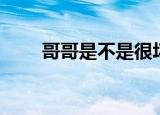 哥哥是不是很坏（哥哥太坏谁之过）