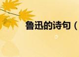 鲁迅的诗句（鲁迅的诗句有什么）