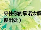 守住你的承诺太傻是什么歌（守住你的承诺太傻出处）