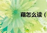 藉怎么读（藉的读音和意思）
