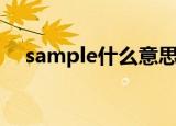 sample什么意思中文（sample的解释）