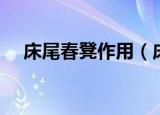 床尾春凳作用（床尾凳为什么叫做春凳）