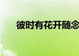 彼时有花开随念当去拙（彼时有花开）