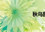 秋鸟图片（秋鸟）