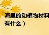 海里的动植物材料有哪些（海里的动植物材料有什么）